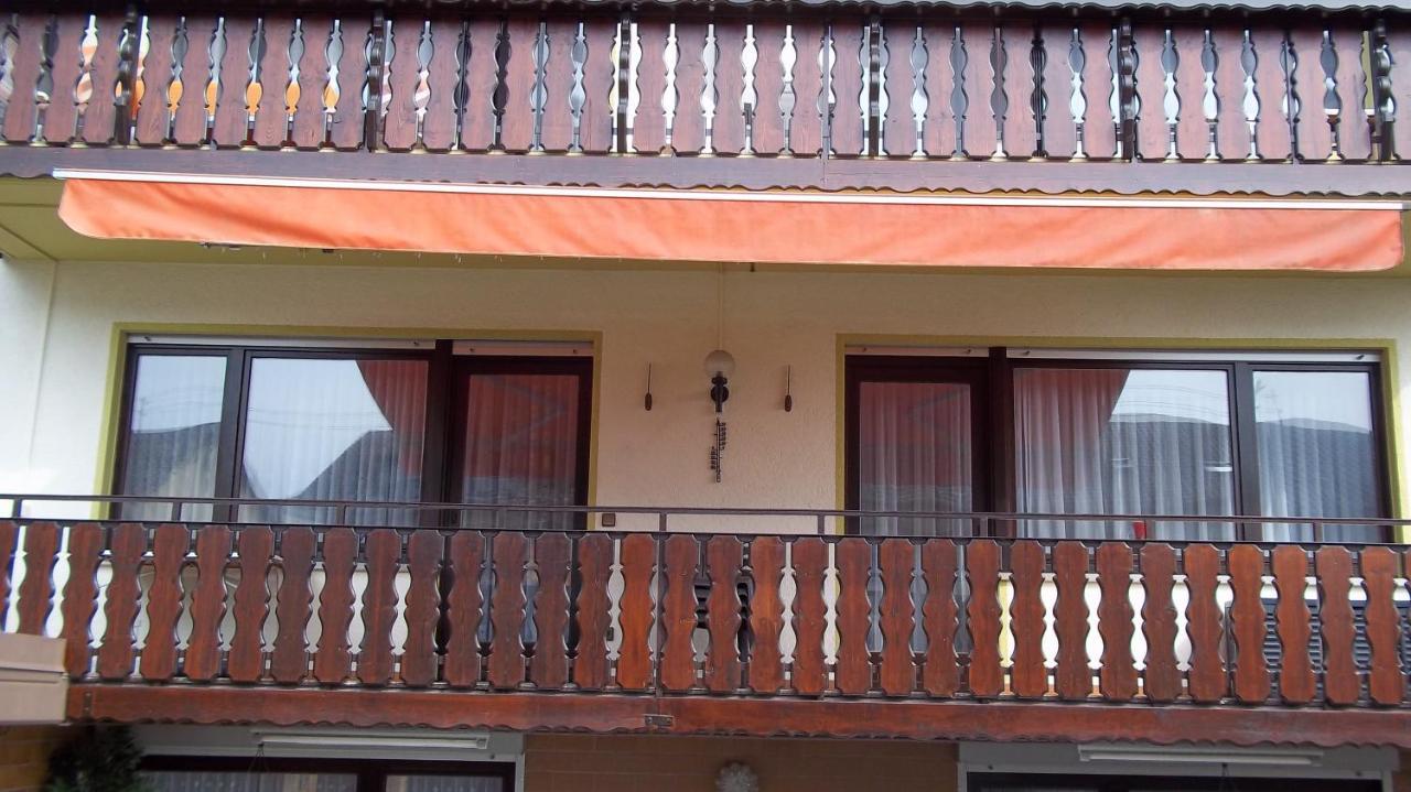 Ferienwohnung Keine Monteurvermietung Naehe Heidelberg Hockenheim Bds Anlage Filisburgo Esterno foto